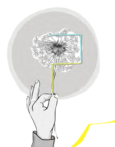content-image