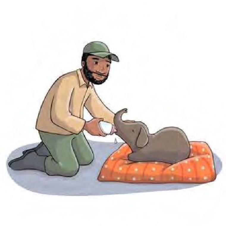 content-image